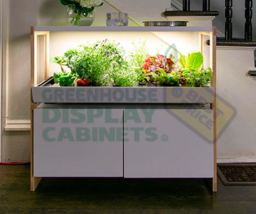 Counter Greenhouse Display Case