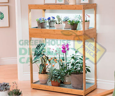 Counter Greenhouse Display Case