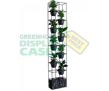 Custom Greenhouse Display Case