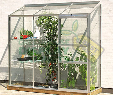 Custom Greenhouse Display Case