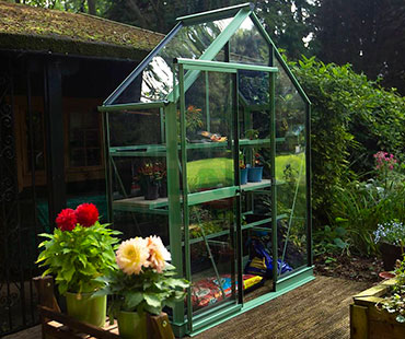 Large Greenhouse Display Case