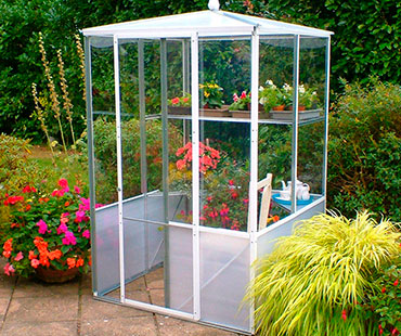 Large Greenhouse Display Case