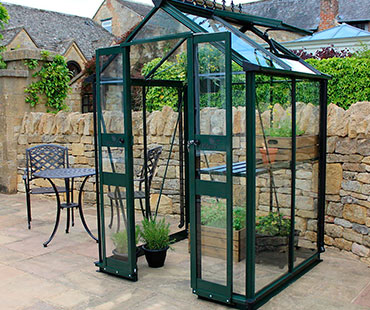 Large Greenhouse Display Case