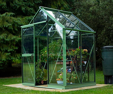 Large Greenhouse Display Case