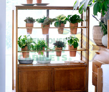 Pedestal Greenhouse Display Case