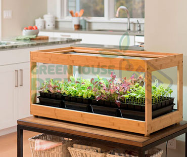 TABLE TOP GREENHOUSE DISPLAY CASES