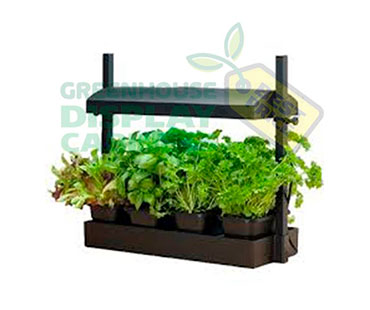 Table Top Greenhouse Display Case