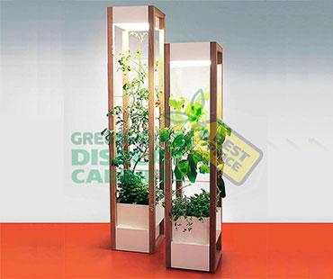 Tower Greenhouse Display Case