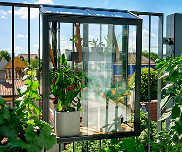 WALL MOUNTED GREENHOUSE DISPLAY CASES