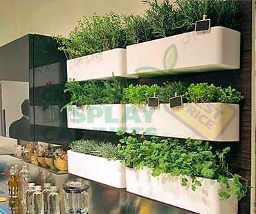 Wall Mounted Greenhouse Display Case