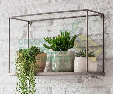 Wall Mounted Greenhouse Display Case